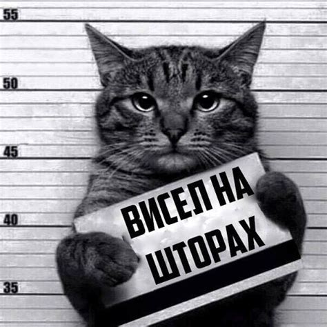 Рецидивист)) | ОБО ВСЕМ | Фотострана | Пост №1043695200