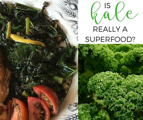 Health Benefits of Kale – Serendipity and Spice