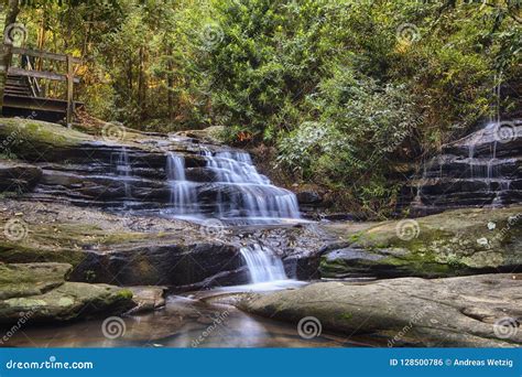 Serenity Falls At Buderim Rainforest Park Stock Photo Image Of