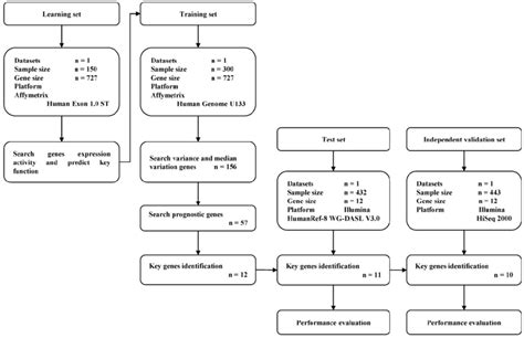 Flow Diagram Of Gene Expression Signature Identification And