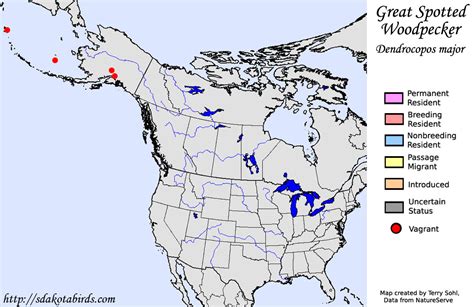 Great Spotted Woodpecker - Species Range Map