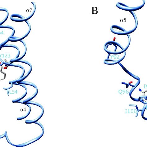 Qacr Ligand Binding Pocket Bound To A Rhodamine 6g R6g And B