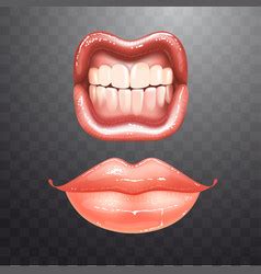 Shining Beautiful Female Nude Lips With Teeth Vector Image