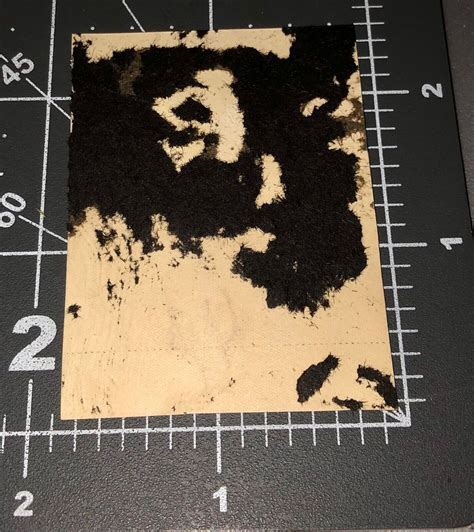 S Beefcake Shirtless Muscle Man Bulge Swimsuit Vintage Gay Int Snapshot Photo