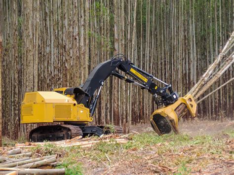 branching   latest innovations  forestry equipment