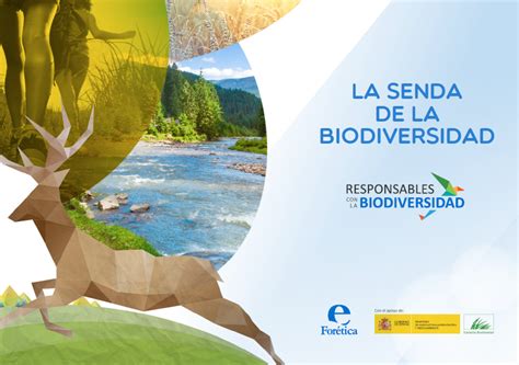 11 Pasos Para Gestionar Y Conservar La Biodiversidad Desde Tu Empresa