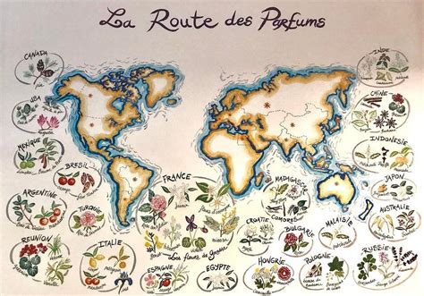 How France became the perfume capital of the world - POLITECH