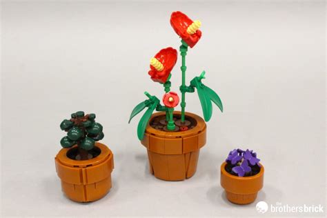 Lego Icons Botanical Collection Tiny Plants Tbb Review