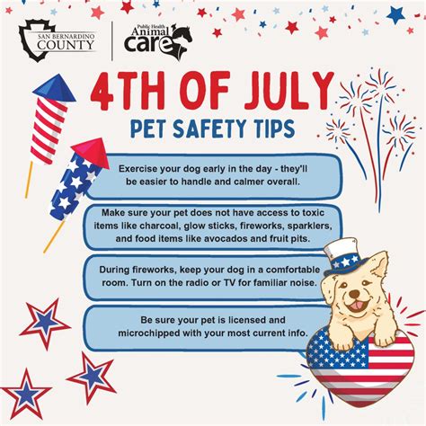 Keep Pets Safe During The Fourth Of July Welcome To San Bernardino County