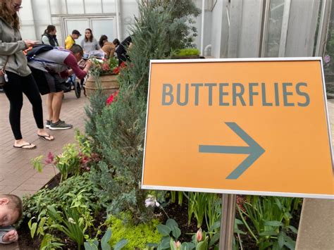 Its Back Head To Meijer Gardens Butterflies Are Blooming 2024 For A