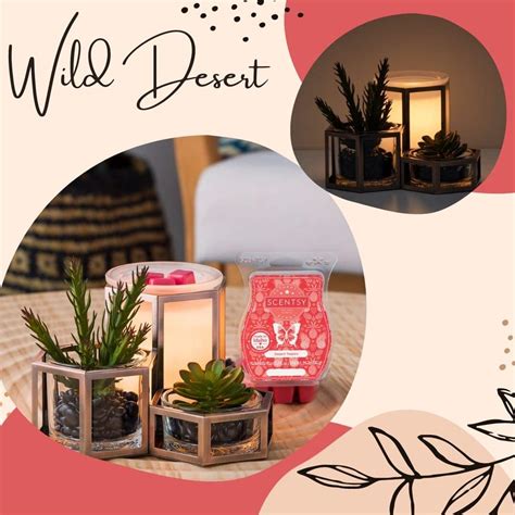 Wild Desert Scentsy Warmer