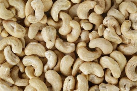 Whole Organic Ivory W320 Cashew Nuts At Rs 650 Kg In Chennai ID