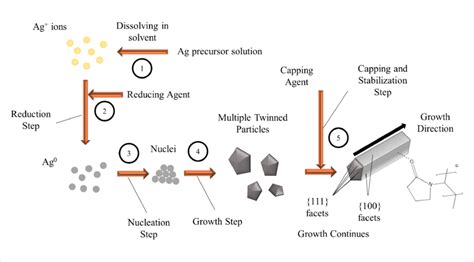 Synthesis Steps And Reaction Mechanism For Agnw Polyol Synthesis