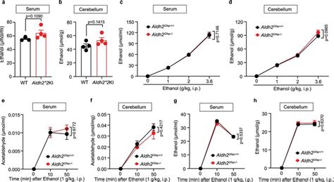 Astrocytic Aldh2 Deficiency Does Not Alter Serum And Brain Cerebellar