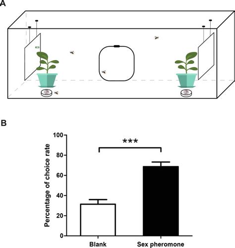 A Female Biased Odorant Receptor Tuned To The Lepidopteran Sex