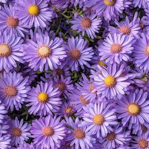 Premium Ai Image A Bunch Of Purple Flowers With Yellow Center