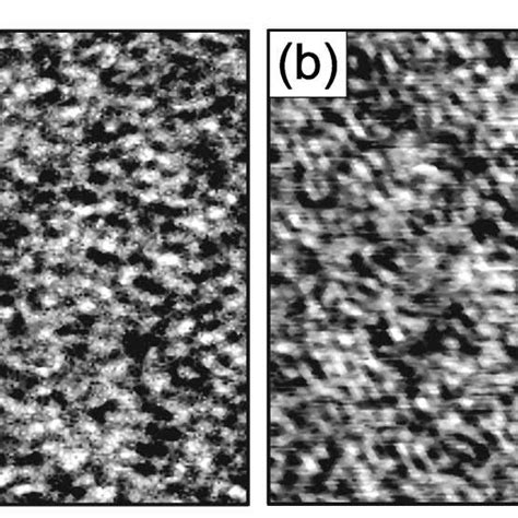 Two Dimensional Near Field Optical Image Of The Integrated Intensity Of