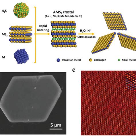 A The Building MoS 6 Motifs Of Bulk 1T And 2H MoS 2 And