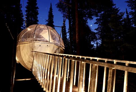 TOP 10 Treehouse Rentals in Montana (2023) | Treehouse Trippers