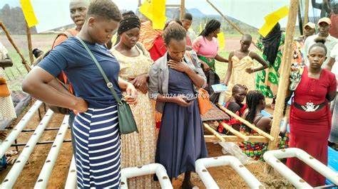 Home Hydroponic Farms Uganda