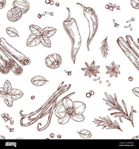 Sketch Spices Seamless Pattern Cooking Herbs And Asian Vegetables