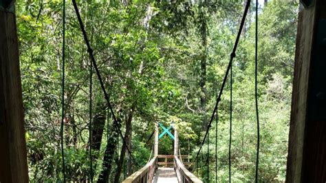 Blackwater River State Park | Florida State Parks