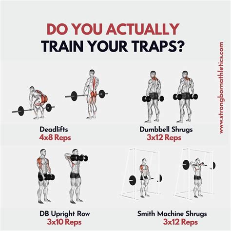 Traps Workout, Workout Gear, Workout Clothes, Workouts, Fitness Tips ...