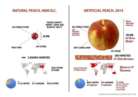 Then Vs Now Our Favorite Foods Before And After Genetic Modification