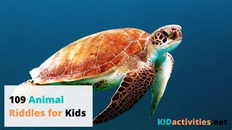 109 Animal Riddles for Kids