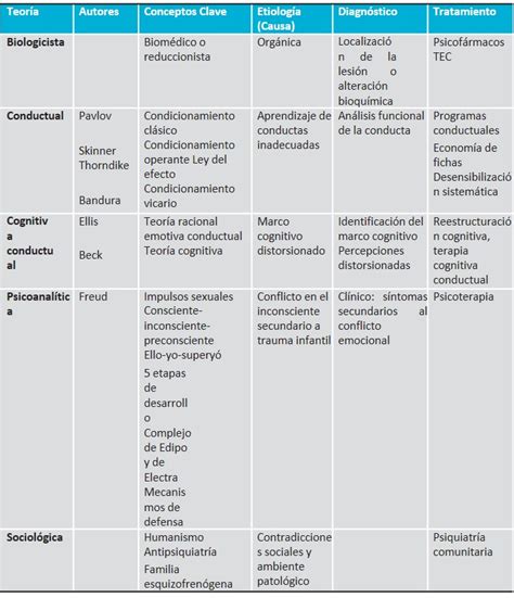 Introducir Imagen Diagnostico Funcional Segun El Modelo Cognitivo