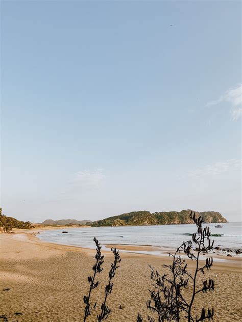 Hotties Eatery Hot Water Beach Eatery Bar Shop