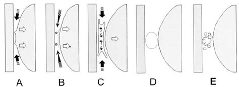 Cavitation Schematic Representation Of Surface Geometry And Shapes Of