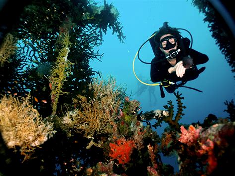 Great Escapes Diving Holidays | Papua New Guinea