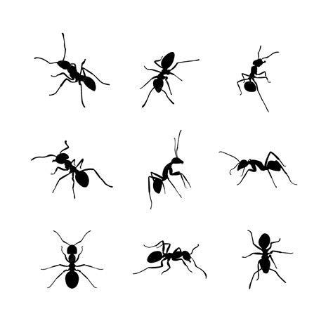 Premium Vector | Silhouettes of ants in different poses