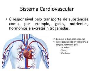 Primeiros Socorros Prs Hemorragia Ppt