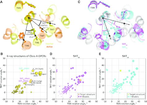 Quantitative Evaluation Of Gpcr Activation States A The Canonical