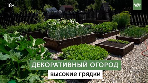 Очень удобные гряды. Красивый огород. - YouTube