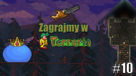 MINISHARK Zagrajmy W Terraria 10 YouTube