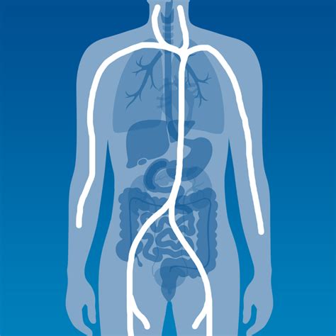 Gesellschaft für Leben und Gesundheit Gefäßchirurgie