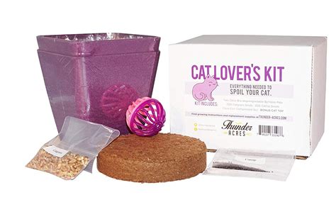 Cat Lover S Kit Catgrass Seed Catnip Seed Coco Coir With Bonus Cat Toy Click Image To