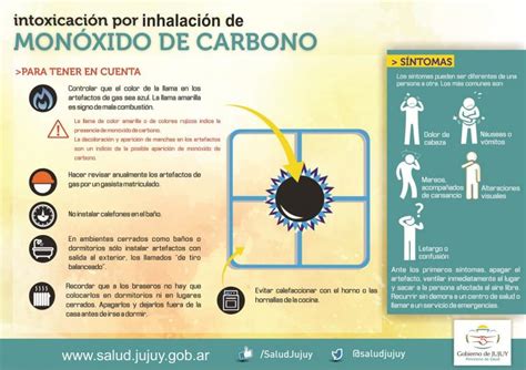 Intoxicaciones Con Monóxido De Carbono Lo Que Tenés Que Saber Agenciafe