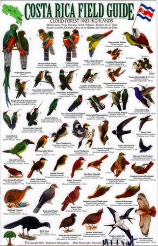 Costa Rica Bird Wildlife Guide Laminated Single Sheet Field Guide FotR