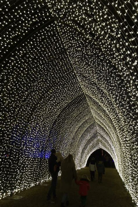 Belton House Winter Lights Experience ~ Architectural Paving & Stone