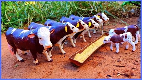 Fazenda De Brinquedo NOVOS BEZERROS TOCANDO AS VACAS PARA O CURRAL