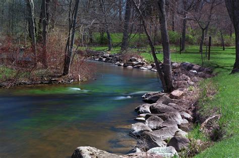 Up a Lazy River - Michael Samuelson Photography