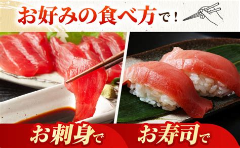 長崎県産 本マグロ「赤身」約500g まぐろ 赤身 赤身本マグロ 鮪 さしみ 刺身 刺し身 冷凍 東彼杵町大村湾漁業協同組合