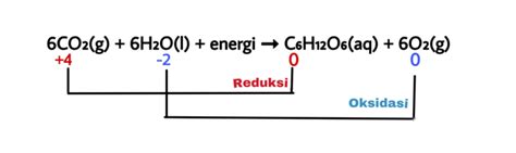 Reaksi Redoks Pengertian Fungsi Ciri Dan Contoh