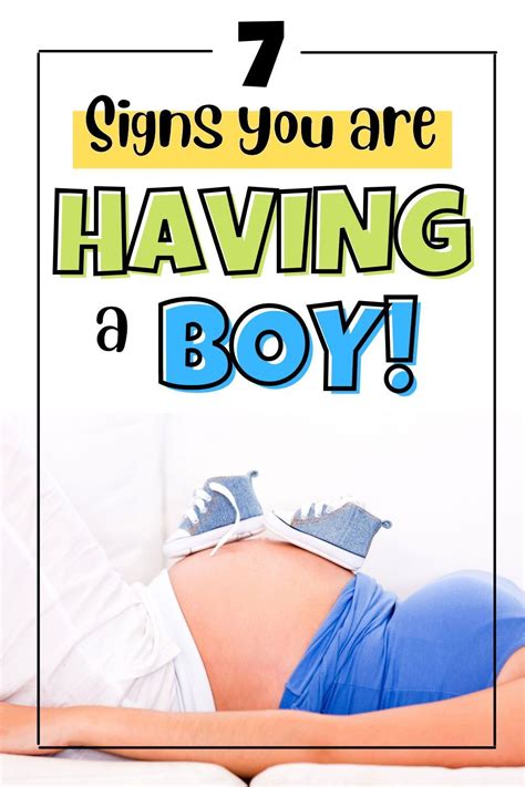 7 Baby Boy Symptoms During Early Pregnancy From 1st Trimester Artofit