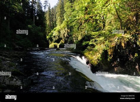 Lower Punchbowl Falls Waterfall Columbia River Gorge Oregon Historic