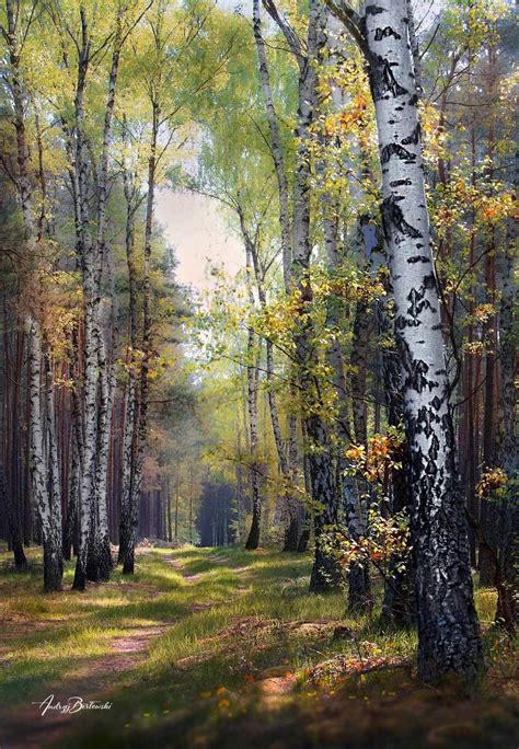 Pin By Annatal On Pejzaz Beautiful Paintings Of Nature Landscape